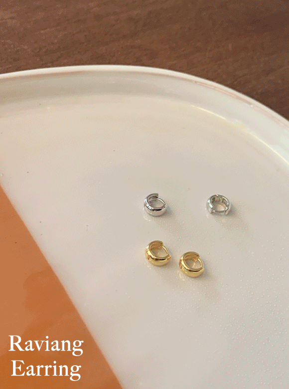 레비앙 earring (2 color)