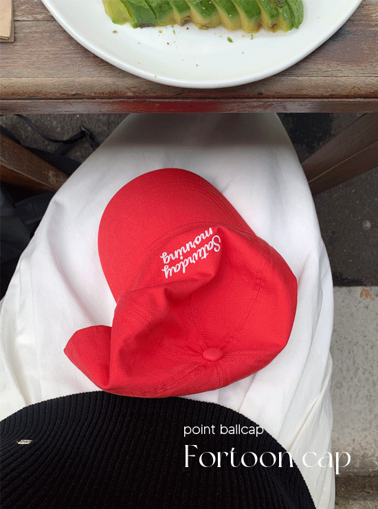 포툰 cap (2 color)